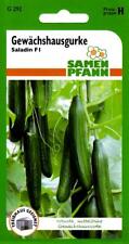 Gewächshausgurke Saladin F1 -
