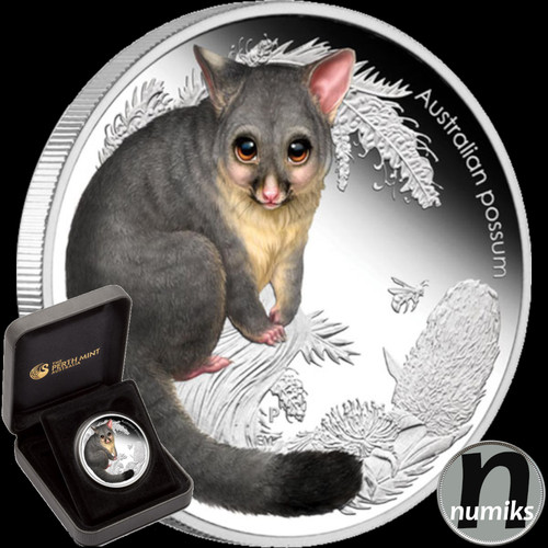 Possum australien 2013 1 2 - australien,