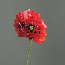 künstliche Mohnblume rot H