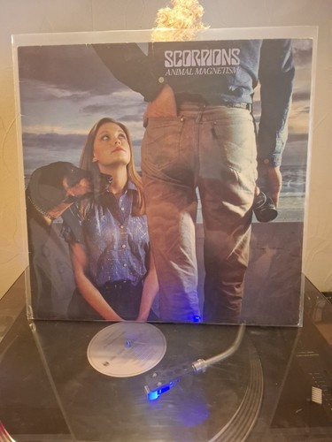Scorpions animal magnetism - scorpions,
