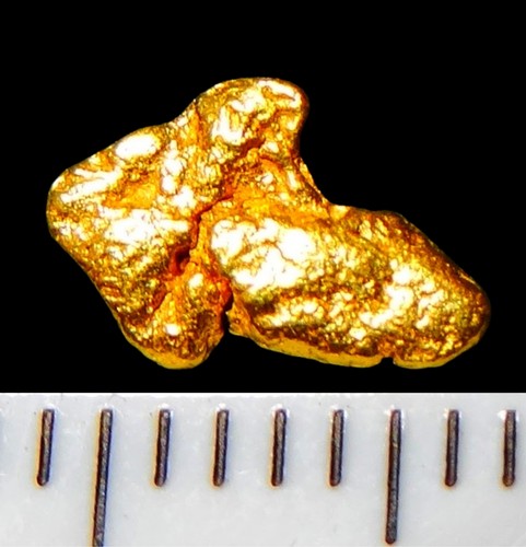 Xxl goldnugget mm - xxl, 7,8
