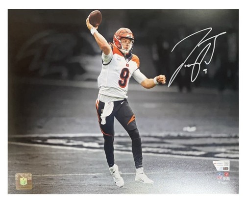 Joe burrow cincinnati bengals - joe,