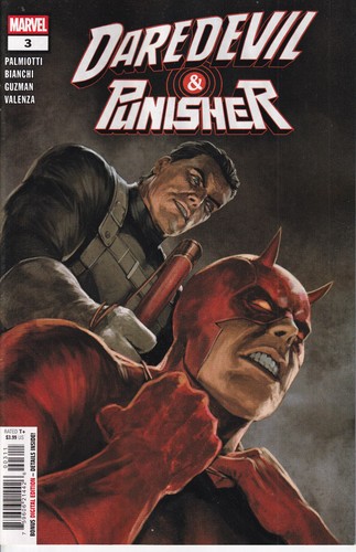 Daredevil punisher the devils - the,