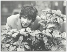 C2149/ Cat Stevens UK