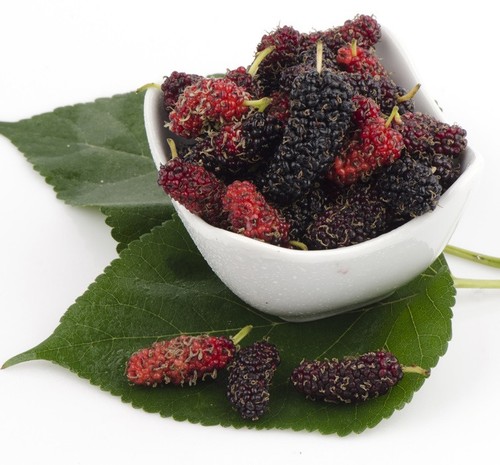 Großfruchtige maulbeere - großfruchtige,