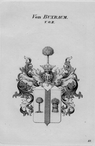 1820 von buxbaum - -, wappen