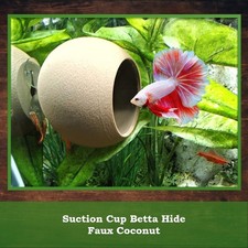 Faux Kokos Fischhöhle mit Saugnäpfen - Betta Hide, Terrarium Aquarium Versteck