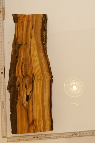 Olivenholz epoxid holz - holz, 4,7cm