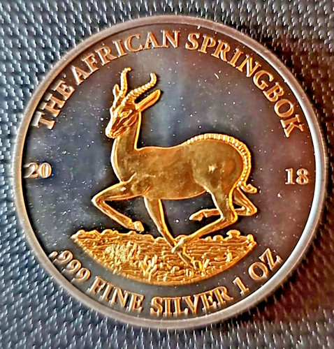 African springbok gabun 2018 - springbok,,