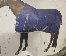 Regendecke von Felix Bühler