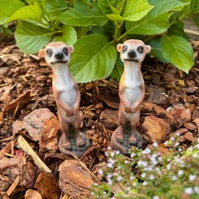 2 kleine Erdmännchen - Garten