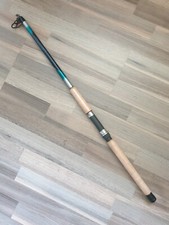 ANGELRUTE SILSTAR NEU 3 METER