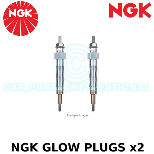 Ngk glühkerze diesel - ngk,