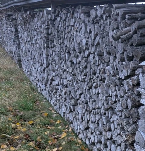 Brennholz kaminholz holz - brennholz,