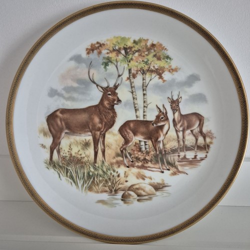 Sammelteller bavaria wunsiedel - sammelteller,