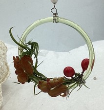 Alt Christbaumschmuck Weihnachtsschmuck  Eichhörnchen Gansfeder  Beeren