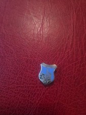  Alte Anstecknadel Souvenir