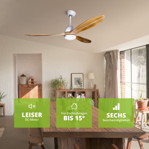 Deckenventilator mit