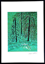 David Hockney - 50x35 cm