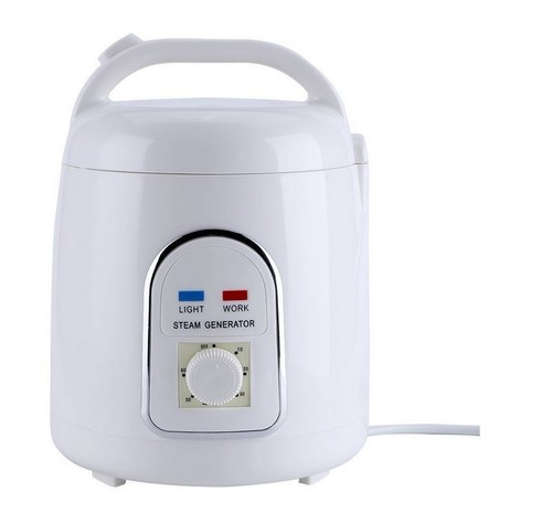Dampferzeuger für portable