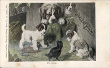 Künstler Ak Bernhardiner