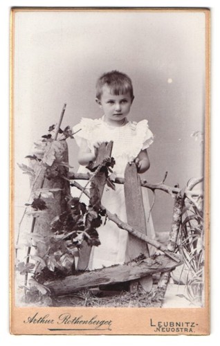 Fotografie arthur - fotografie,