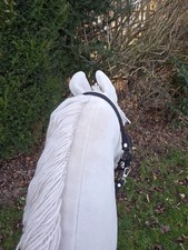 Hobby Horse Steckenpferd weiss