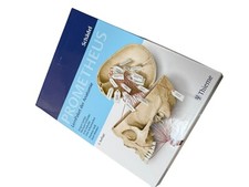 PROMETHEUS LernPaket Anatomie