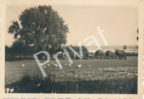 Foto geschütze tarnung - geschütze,