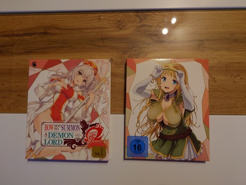 How not summon demon lord - summon,