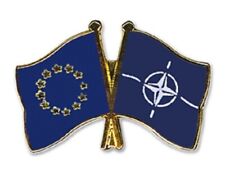 Europa-NATO Freundschafts Pin