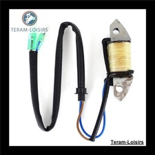 Stator Lichtmaschine für