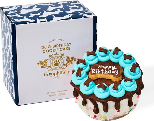 Pets hunde geburtstag - hunde,