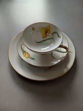 Rosenthal Selb Sammeltasse