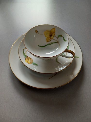 Rosenthal selb sammeltasse - rosenthal,