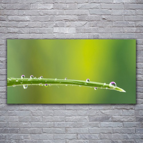 Acrylglasbilder wandbilder - acrylglasbilder,