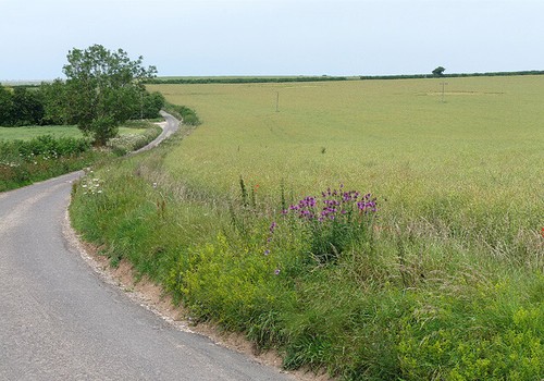 Foto landwirtschaftliches land - foto,