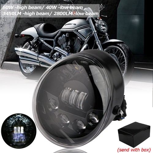 Motorrad led oval - oval, haupt