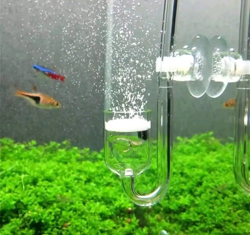 Glas aquarium co2 zerstäuber - co2,