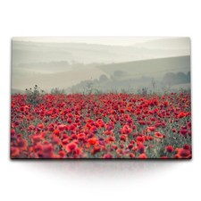 120x80cm Wandbild auf Leinwand