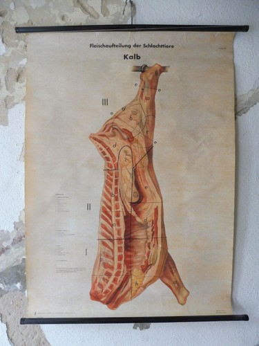 Alte rollkarte schulwandtafel - alte,