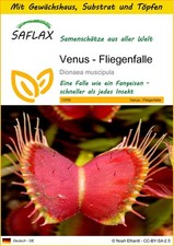SAFLAX - Anzuchtset - Venus -