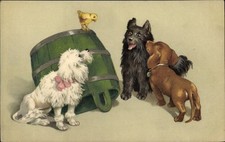 Ak Drei junge Hunde, Dackel, Pudel, Holzbottich, Küken, Terrier - 4206032