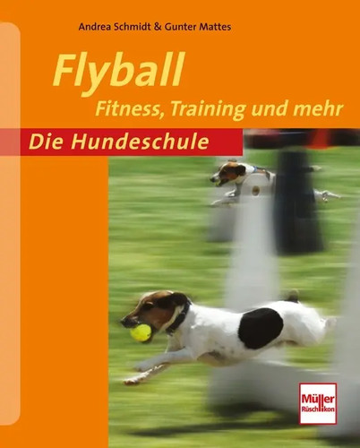 Flyball fitness training - |, fitness,
