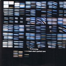 Transister Look who's perfect now (1998)  [Maxi-CD]