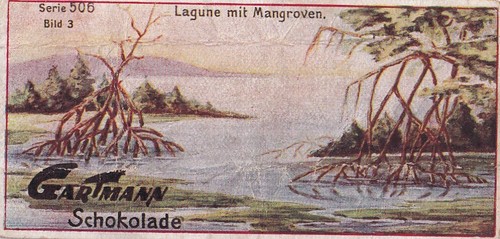 Gartmann schokolade trade - schokolade, card