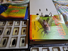 Mini Biester Sammlung 69