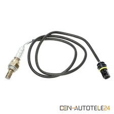 MONITORSONDE NACH KAT ZYLINDER