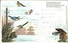 11854815 Voegel Vogelhaus Strommast Litho