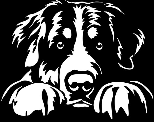Berner sennenhund aufkleber - berner,